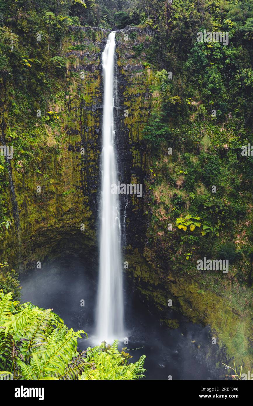 Akaka falls on big island of Hawaii Stock Photo