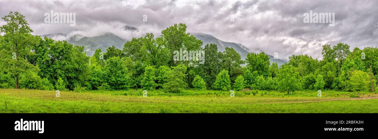 Panorama mountains trees hi-res stock photography and images - Alamy