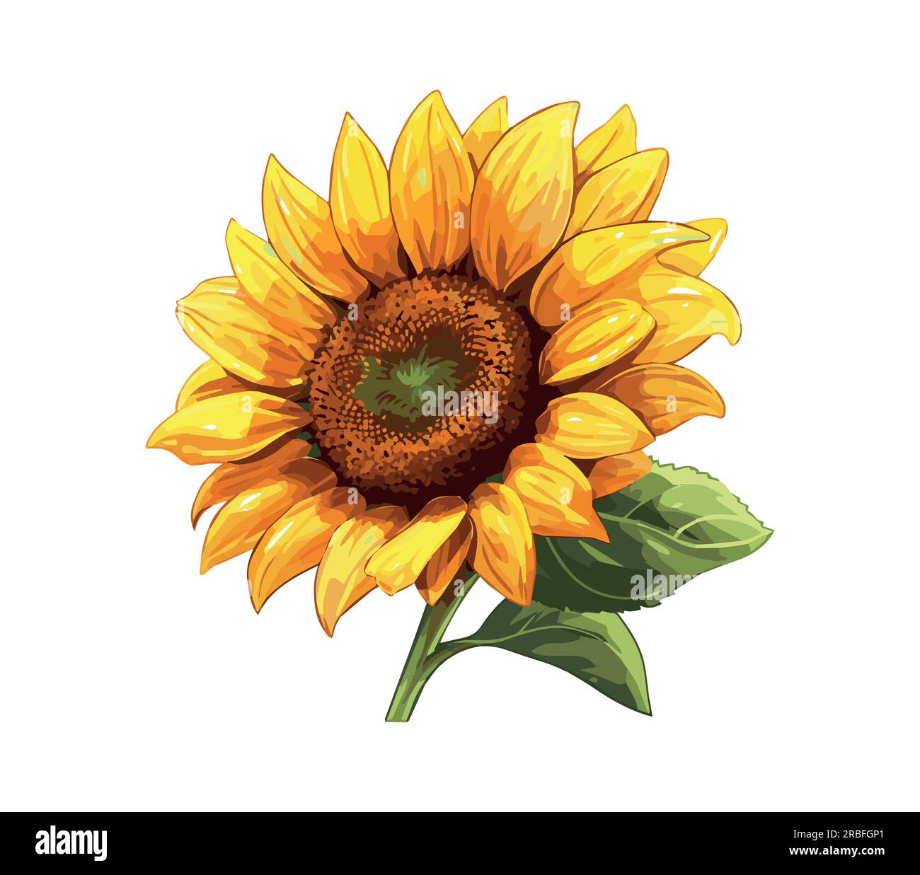 Sunflower flower isolated, vector illustration Stock Vector Image & Art ...