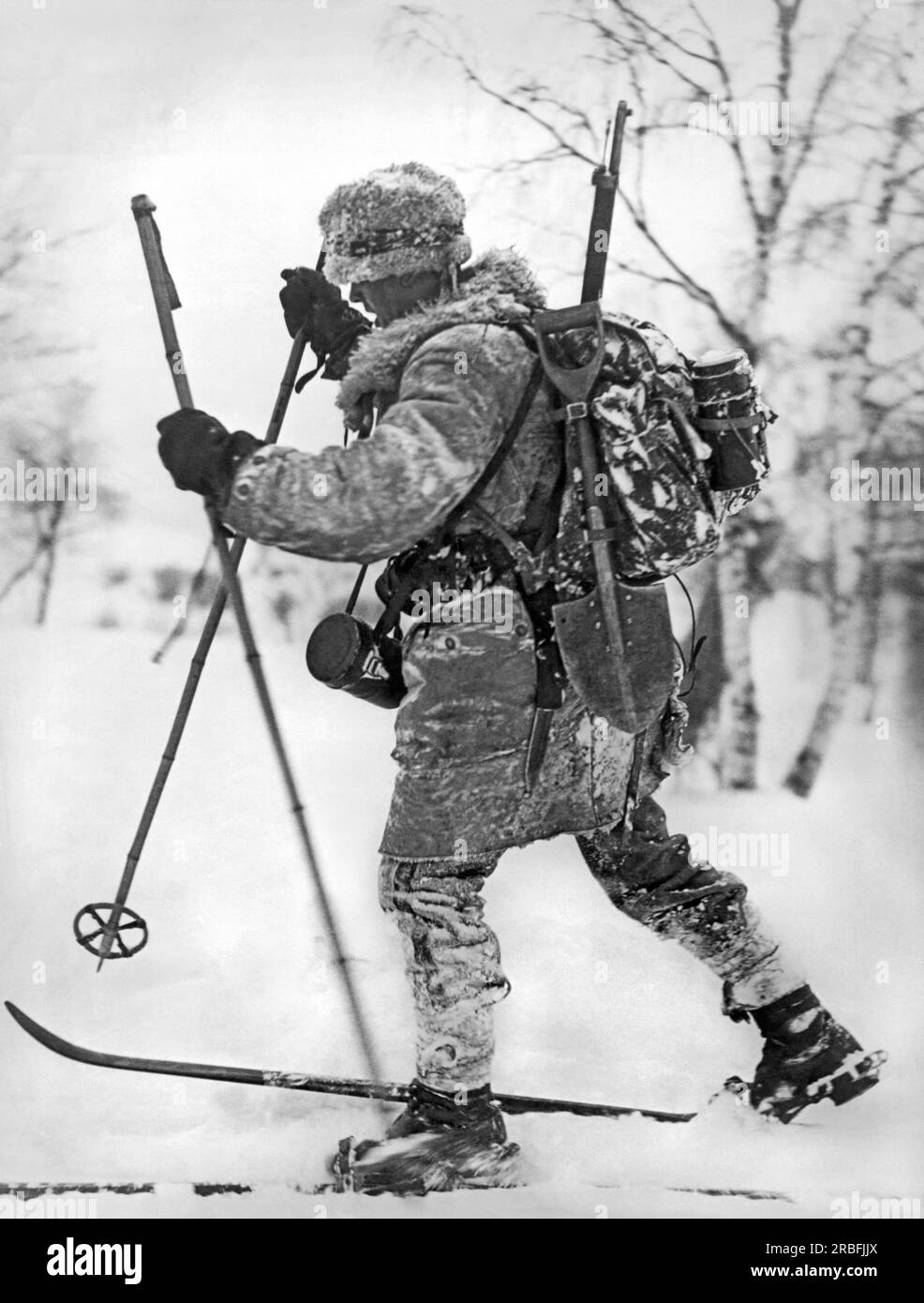 United States: c. 1936 A man cross country skiing with a carbine rifle