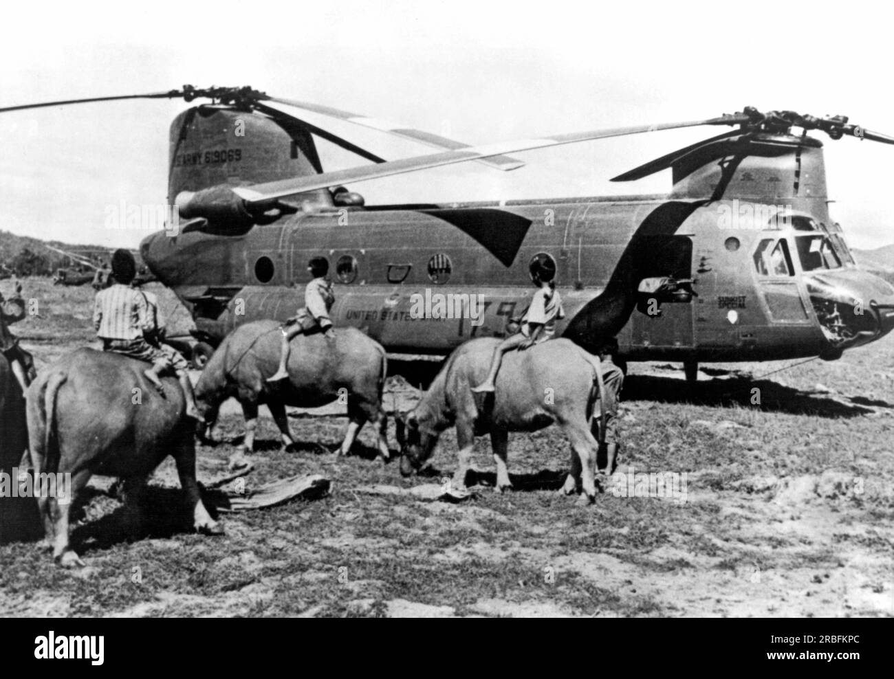 Nha Trang, Vietnam:  February 20, 1968 A U.S. Army CH-47 Chinook helicopter in a field meets up with several Vietnamese boys riding their water buffalos to nearby rice paddies. Stock Photo