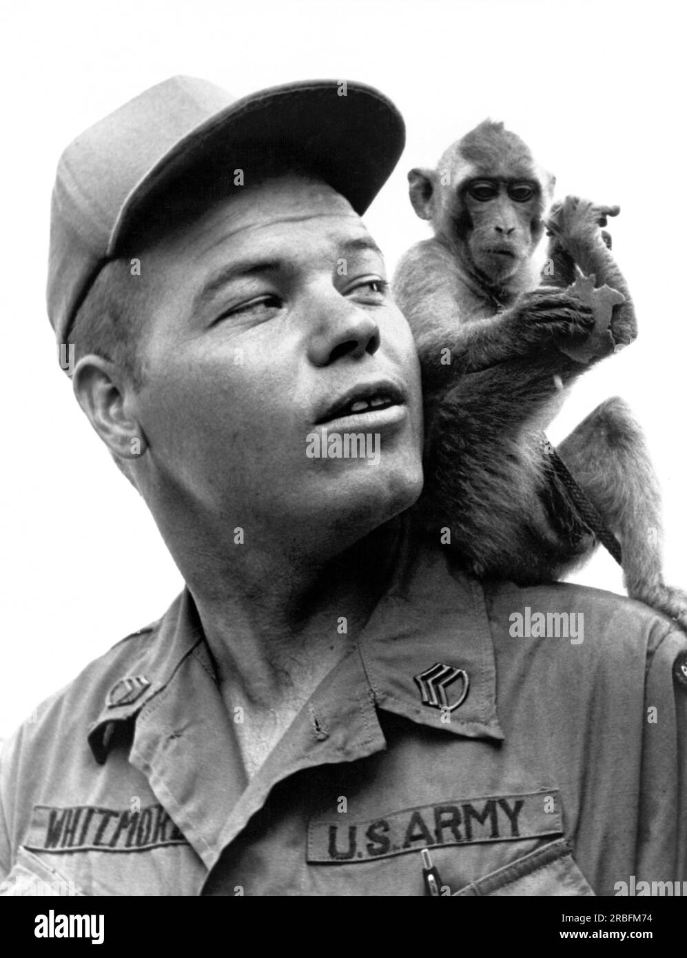 Vietnam:   May, 1968 A S/Sgt of the 101st Airborne Division warns his unit's mascot, Charlie, about any monkey business. Stock Photo