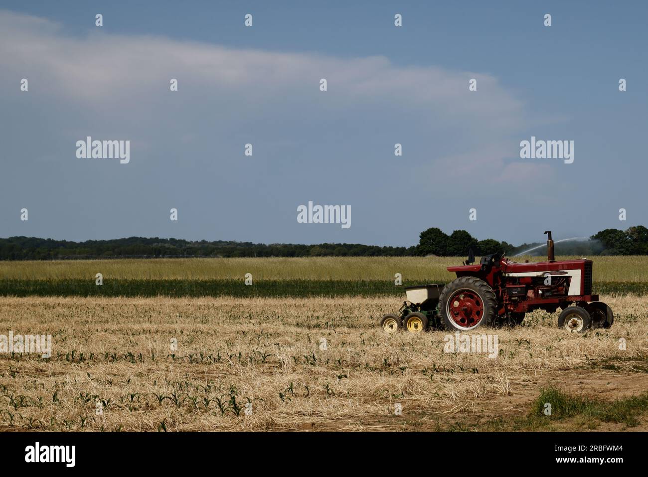 Tractor in corn field Stock Photo - Alamy