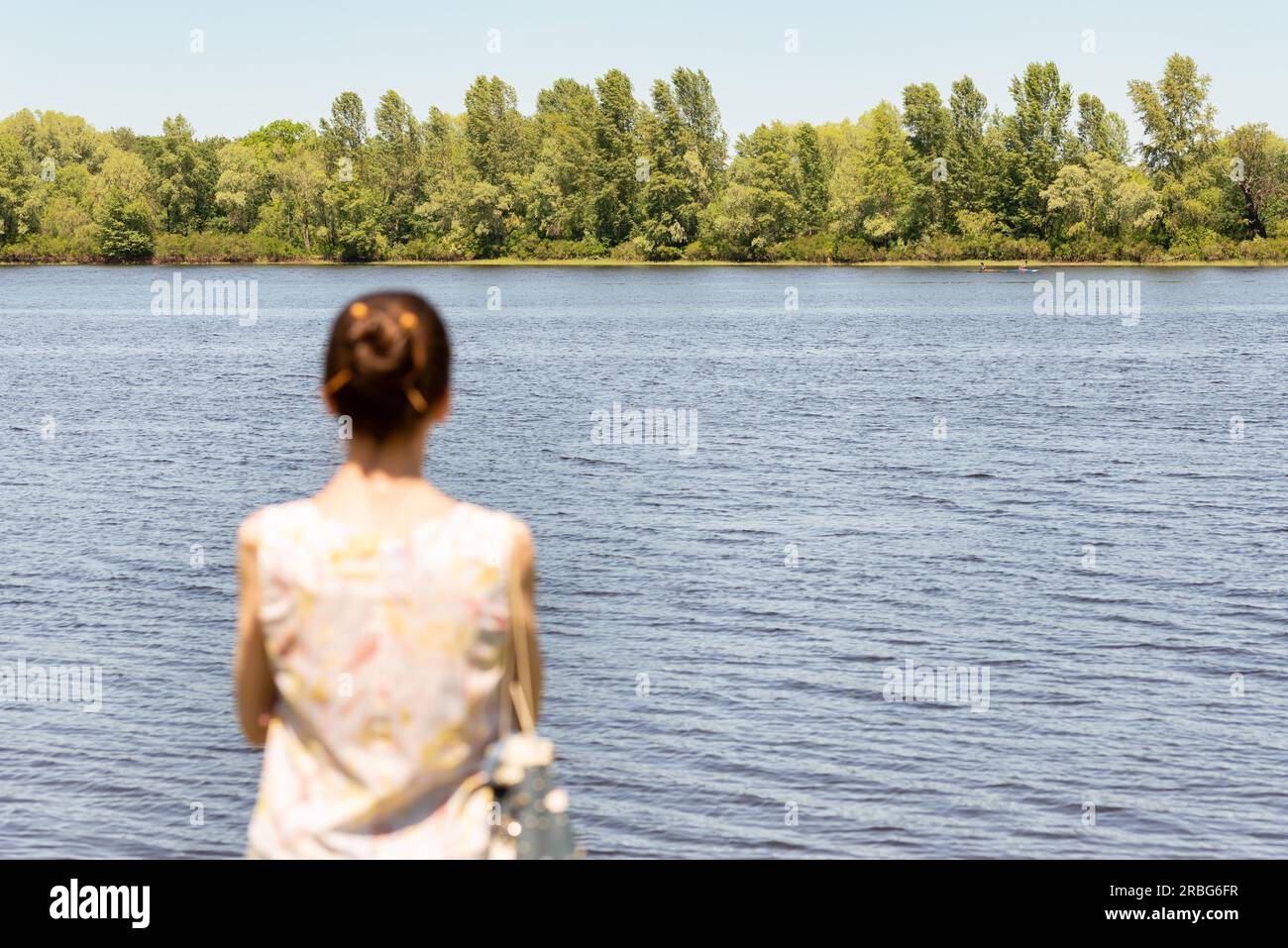 A woman with a chignon, standing up close to the Dnieper river in Kiev, Ukraine, observes the trees in the distance. The silhouette of the lady is Stock Photo