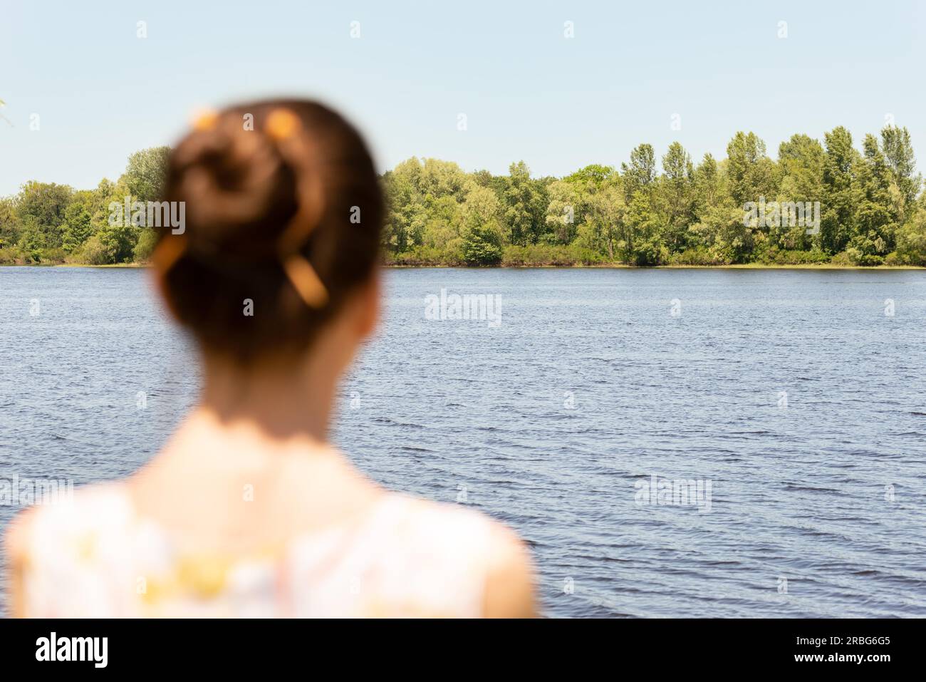 A woman with a chignon, standing up close to the Dnieper river in Kiev, Ukraine, observes the trees in the distance. The silhouette of the lady is Stock Photo