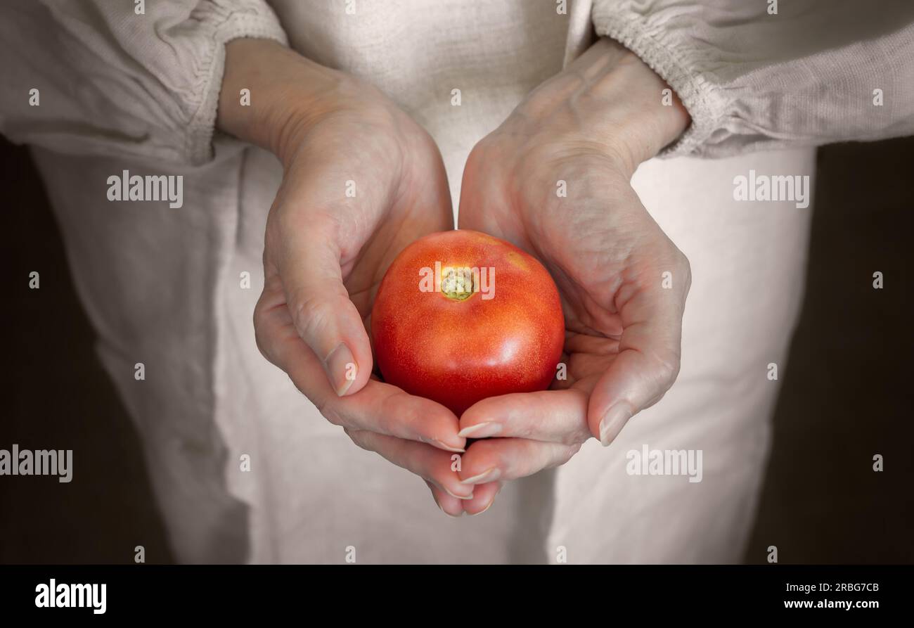 A country woman, a farmer is holding one red and juicy tomato in her hands. She just picked the fruit in the vegetable garden Stock Photo