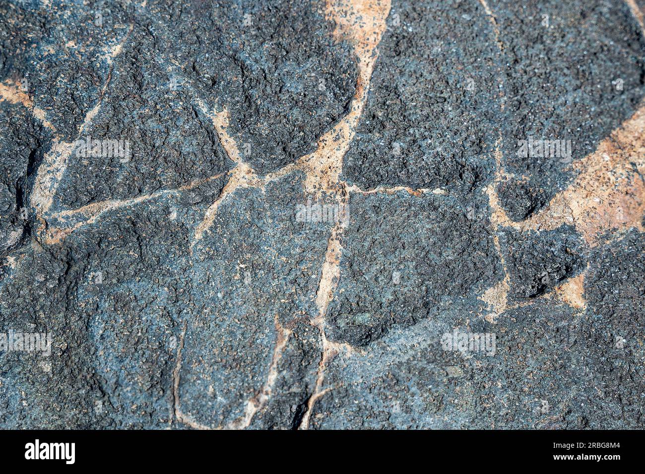 gray stone background. Stone wild textured gray abstract background ...