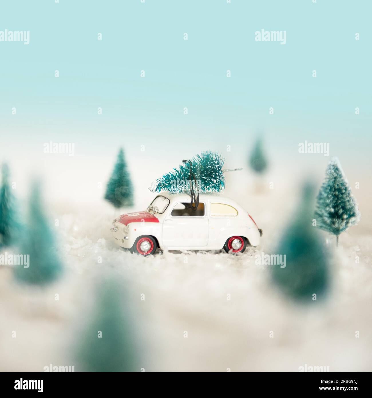 Driving Home for Christmas Tree Stock Photo Alamy