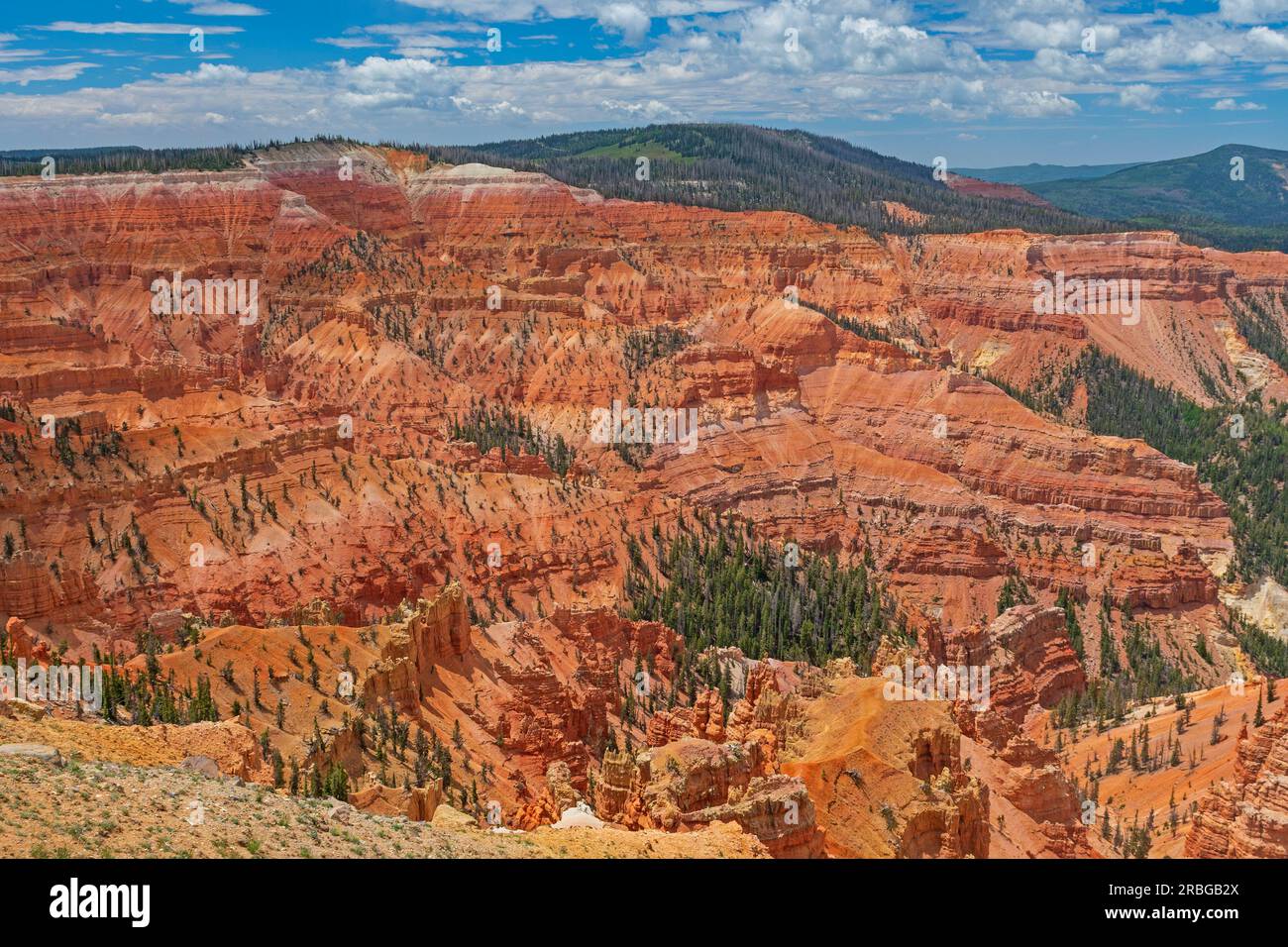 Red Cliff Panorama on a Sunny Day in Cedar Breaks National Monument in Utah Stock Photo