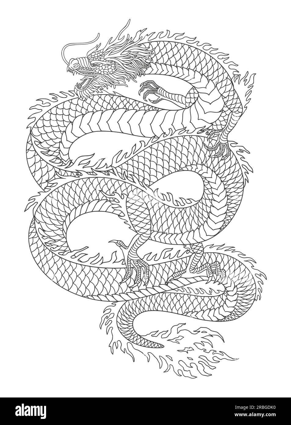 Japanese dragon vintage engraving drawing s Vector Image