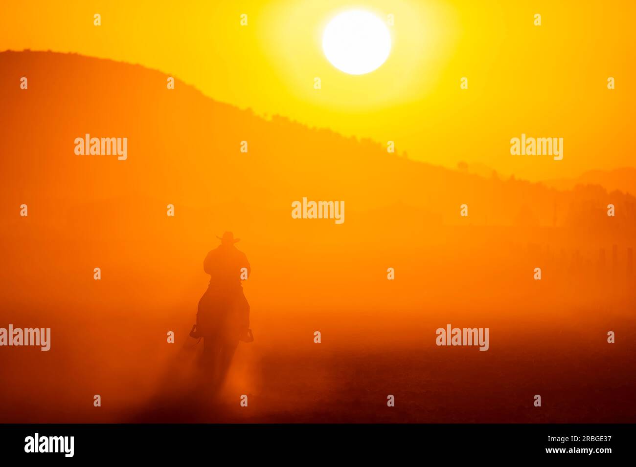 A Mexican Charro rounds up a herd of horses running through a field on a Mexican Ranch at