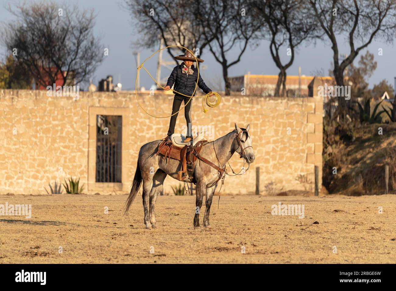 A young Mexican Charro rounds up a herd of horses running through a field on a Mexican Ranch at