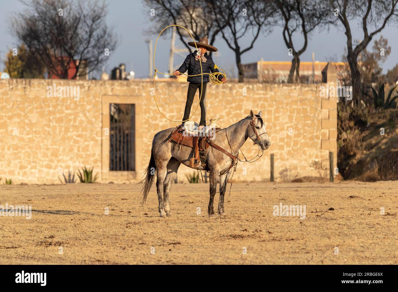 A young Mexican Charro rounds up a herd of horses running through a ...