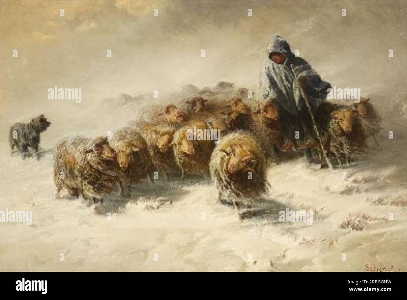 FLOCK OF SHEEP IN THE SNOW by August Friedrich Schenck Stock Photo