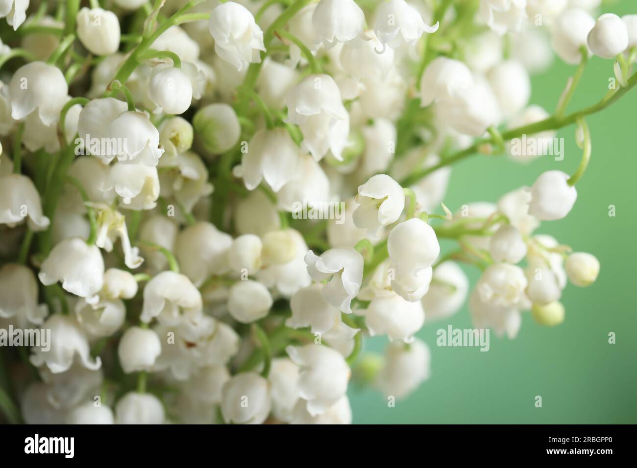 Beautiful lily of the valley flowers on blurred green background ...