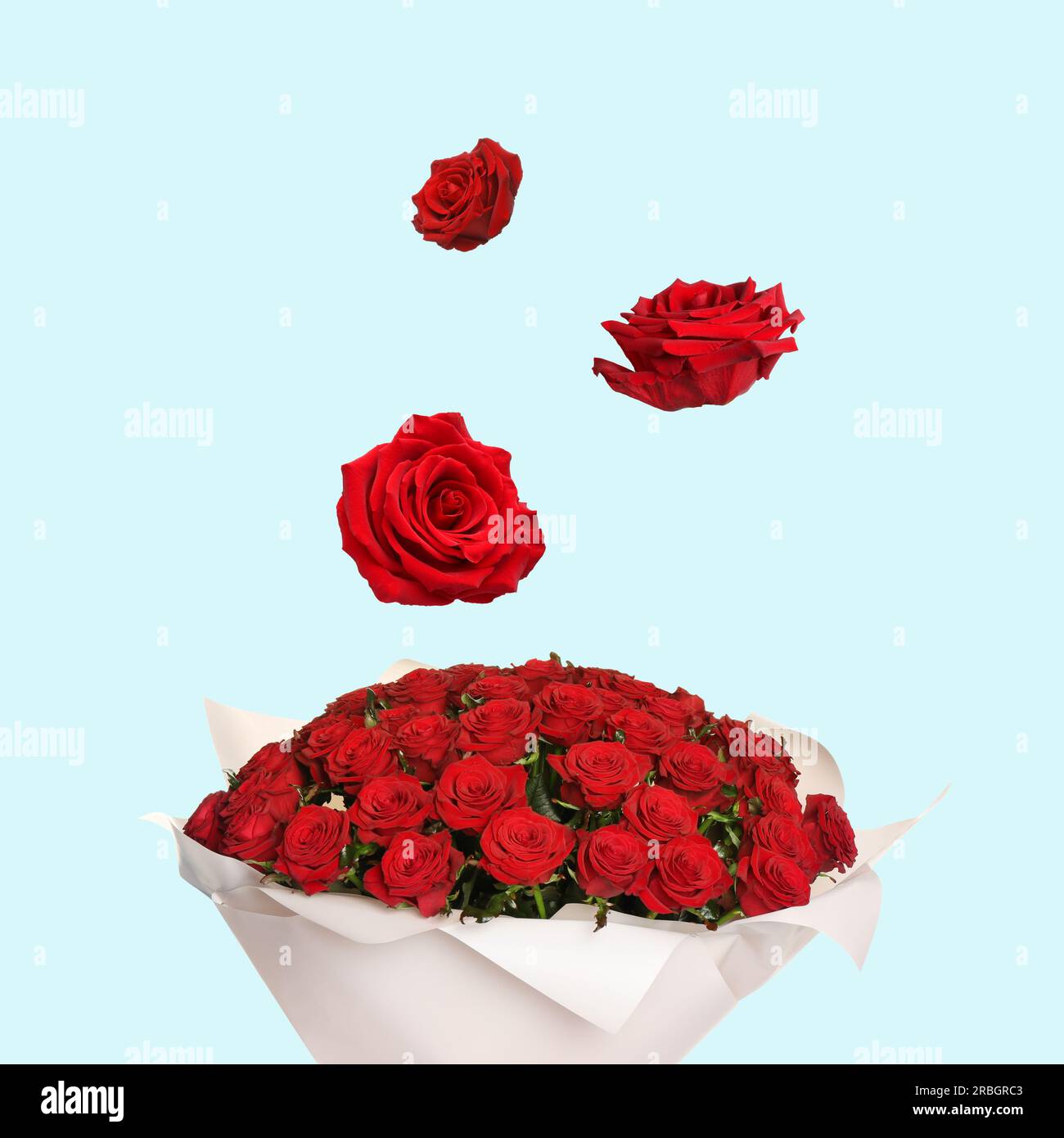 Flower buds flying into bunch of red roses on light blue background ...