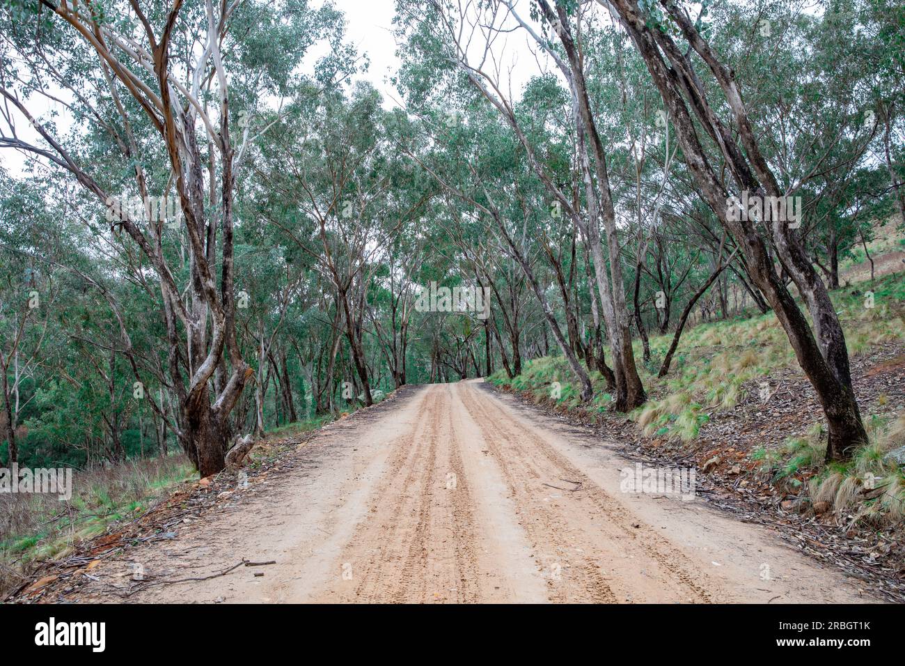 The Hill End bridle track, former walking and horse trail during the gold mining boom in central New South Wales,Australia Stock Photo