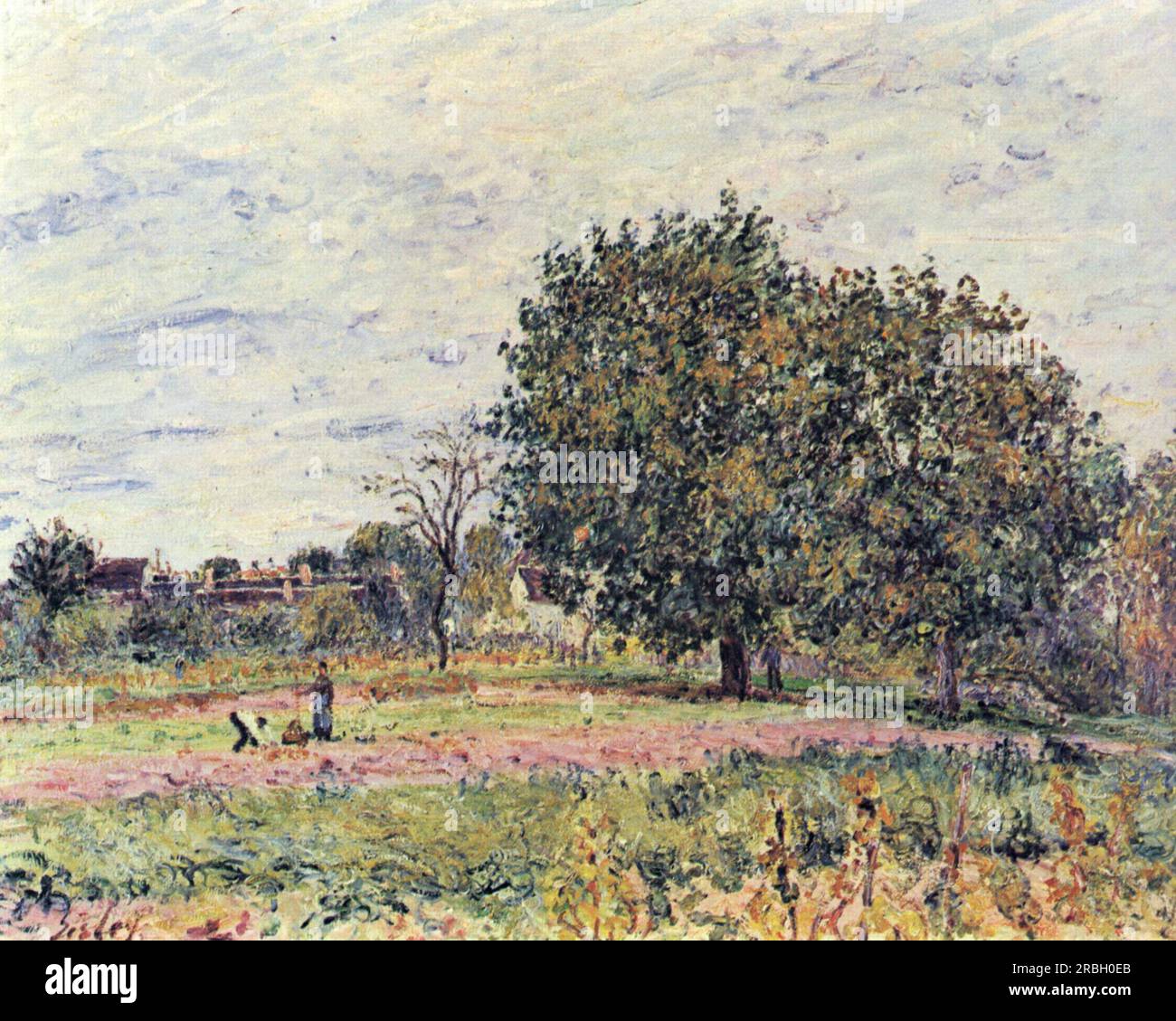Walnut trees at sunset in early October 1882 by Alfred Sisley Stock Photo