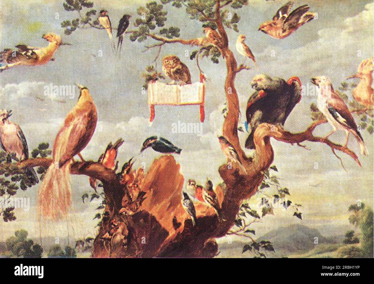 LFYT × PRADO MUSEUM Concert of the Birds Concert of the Birds - The Collection - Museo Nacional del Prado