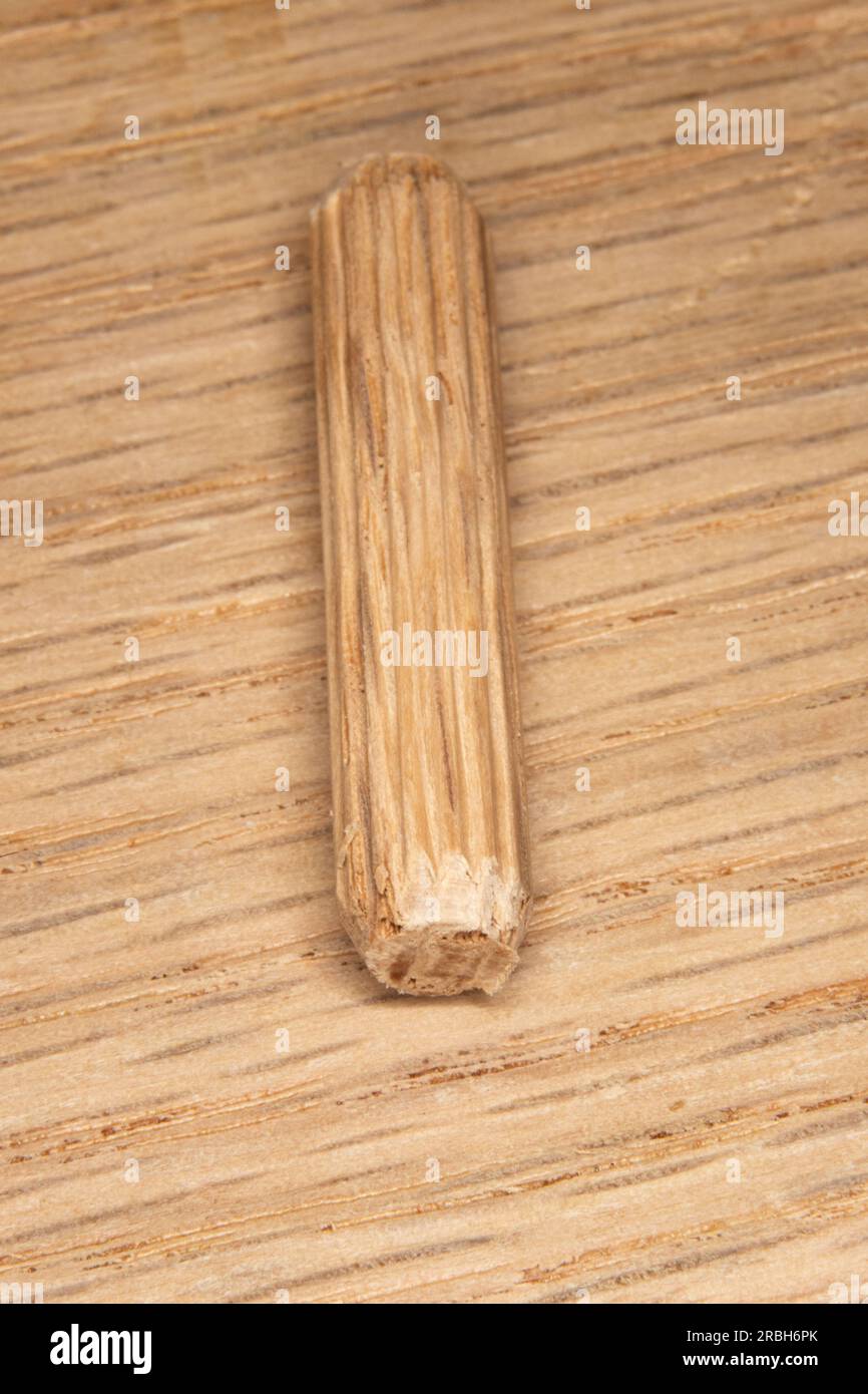 single oak dowel pins on oak background, dowel pins used to join two