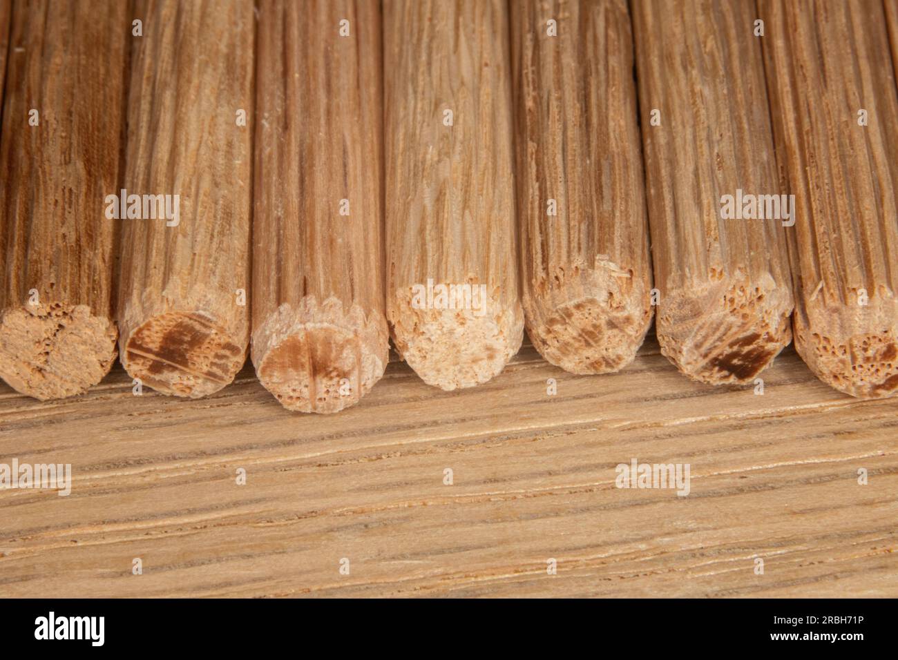 row of oak dowel pins on oak background, dowel pins used to join two