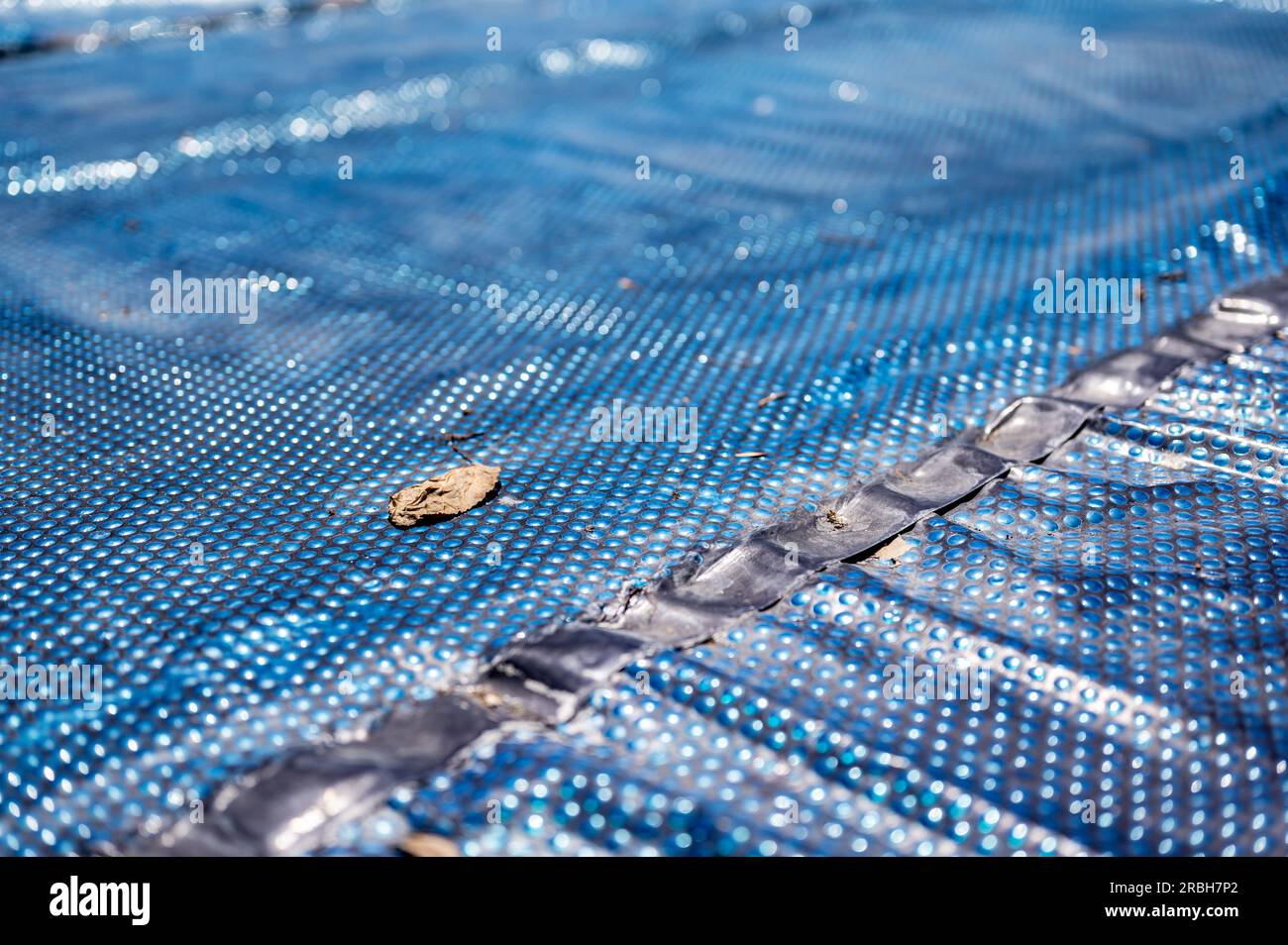 Leaf on top of a floating pool cover used to keep out debris and