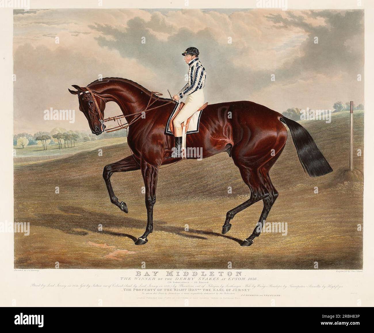 'Bay Middleton' Winner of the Derby in 1836 by John Frederick Herring Sr. Stock Photo