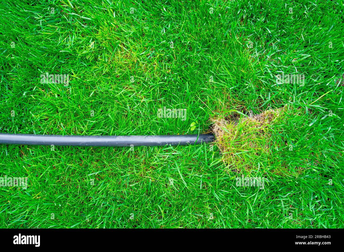 A black plastic pipe comes out of a green lawn. The beginning of the integration of irrigation into the lawn Stock Photo