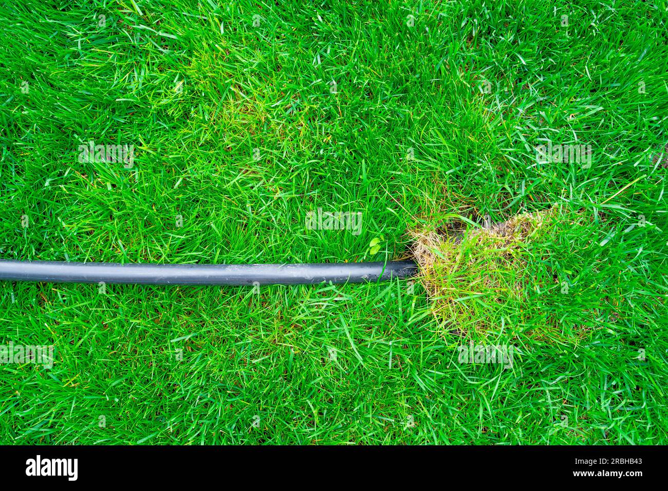 A black plastic pipe comes out of a green lawn. The beginning of the
