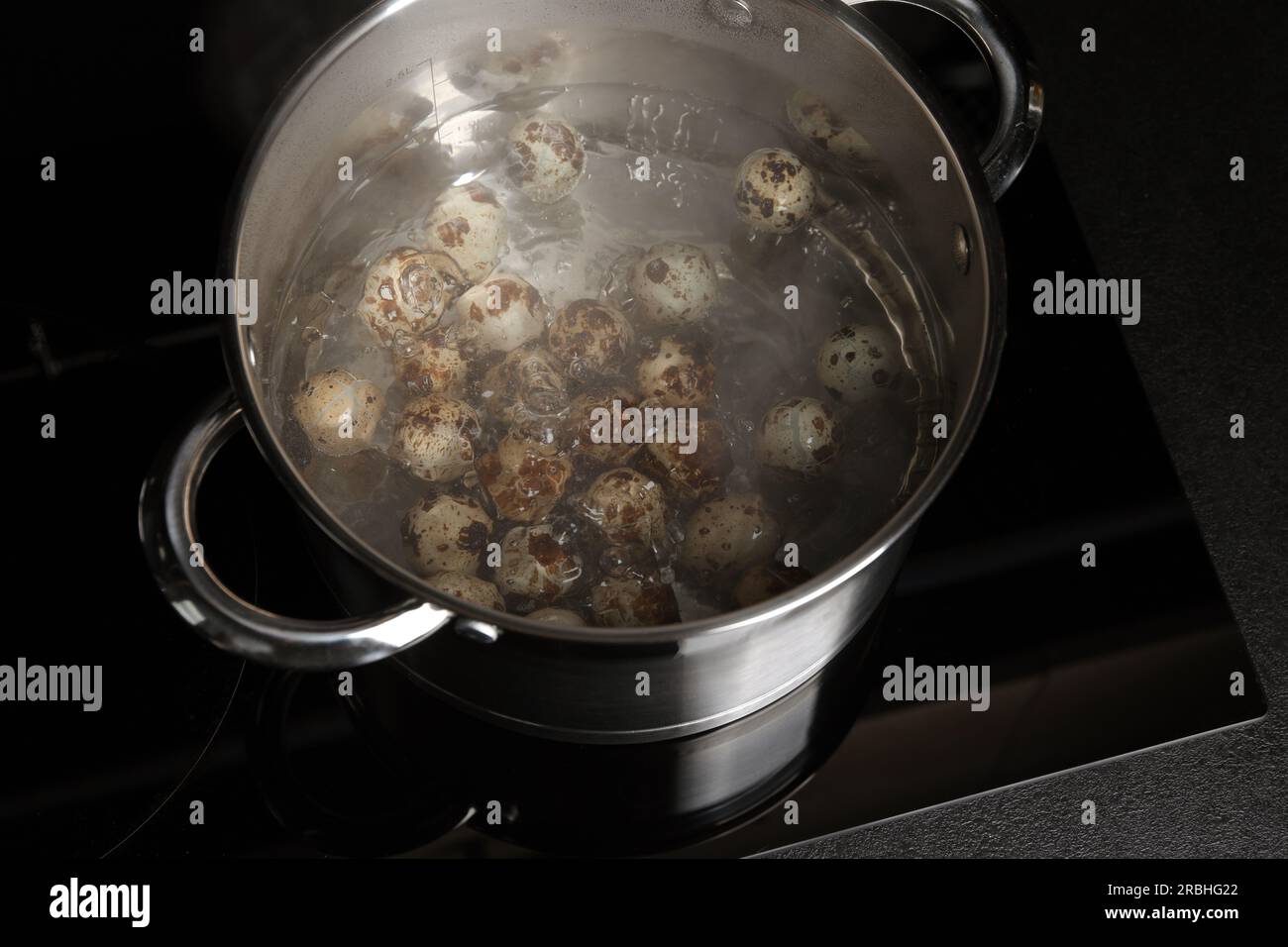 Cooking quail eggs in pot on electric stove Stock Photo - Alamy