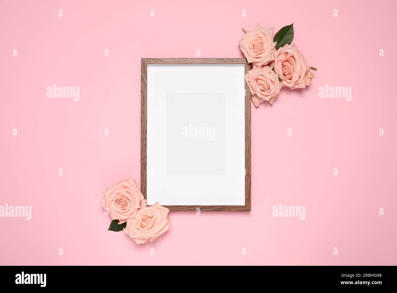 Empty photo frame and beautiful roses on pink background, flat lay ...