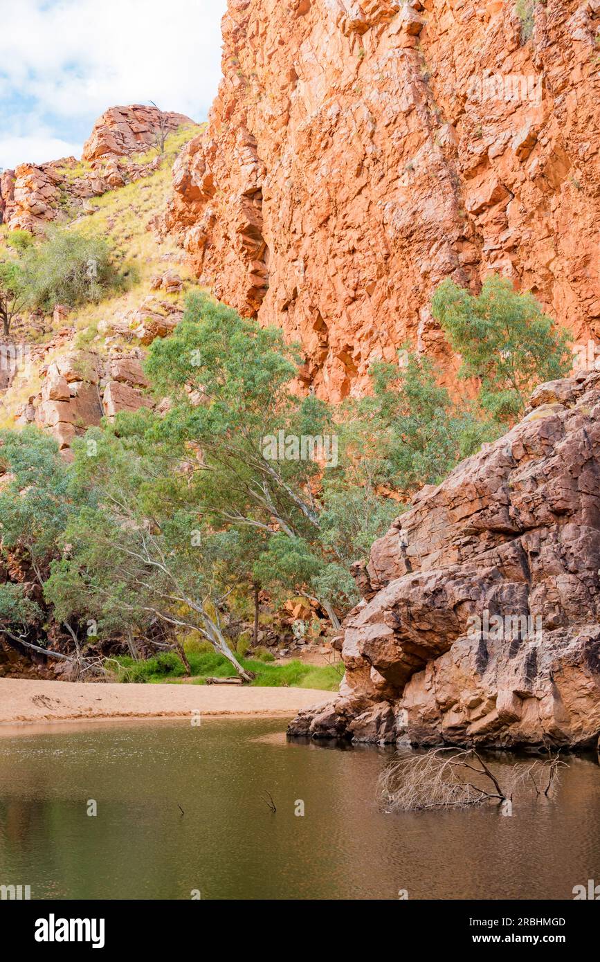 A semi permanent water hole at Emily Gap (Yeperenye), part of the East Macdonnell Range (Tjoritja) near Alice Springs (Mparntwe) in Central Australia Stock Photo