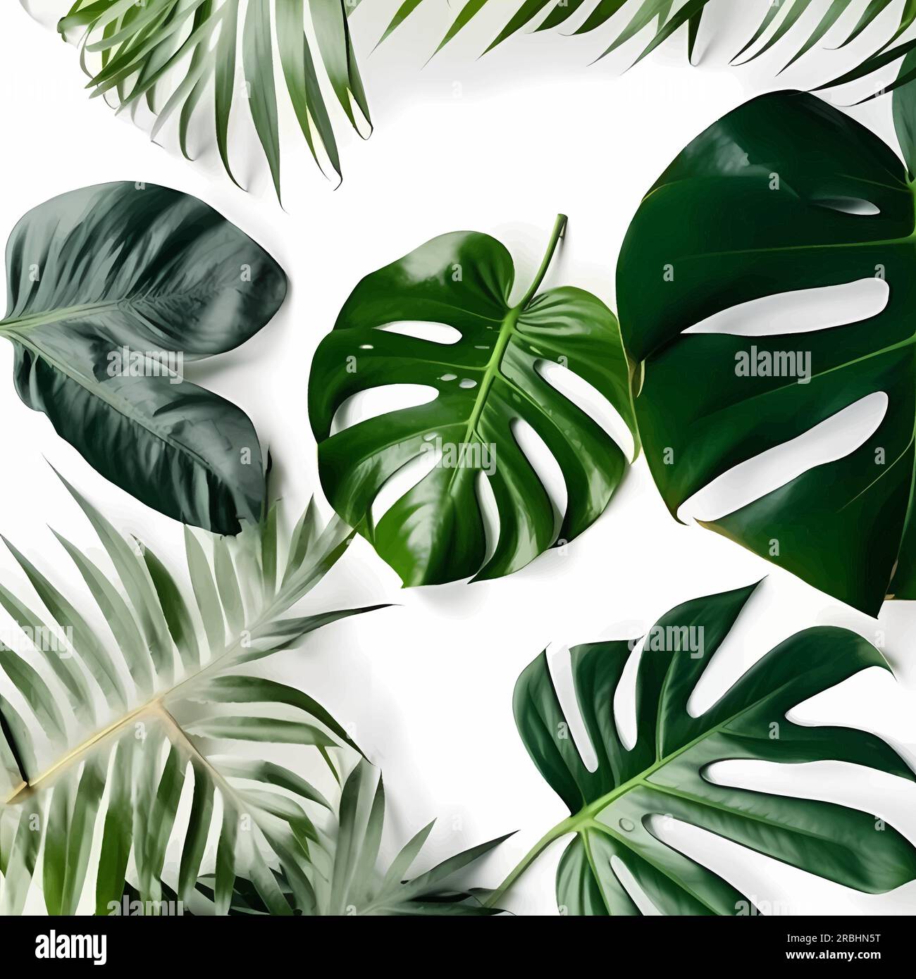 Realistic palm leaf vector hi-res stock photography and images - Alamy