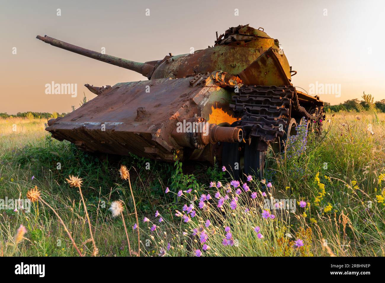 Destroyed rusted, abandoned and burned out battle tank in the green fields at sunset time. You can use this  image as an illustration for example war Stock Photo