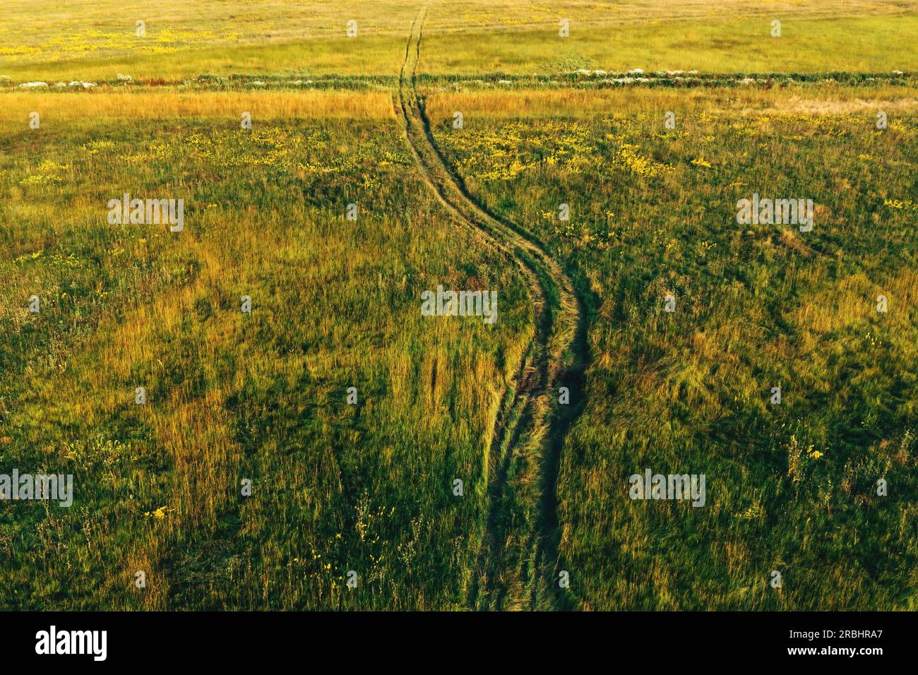 Winding tire tracks in grass meadow in summer sunset, aerial shot from drone pov high angle view Stock Photo