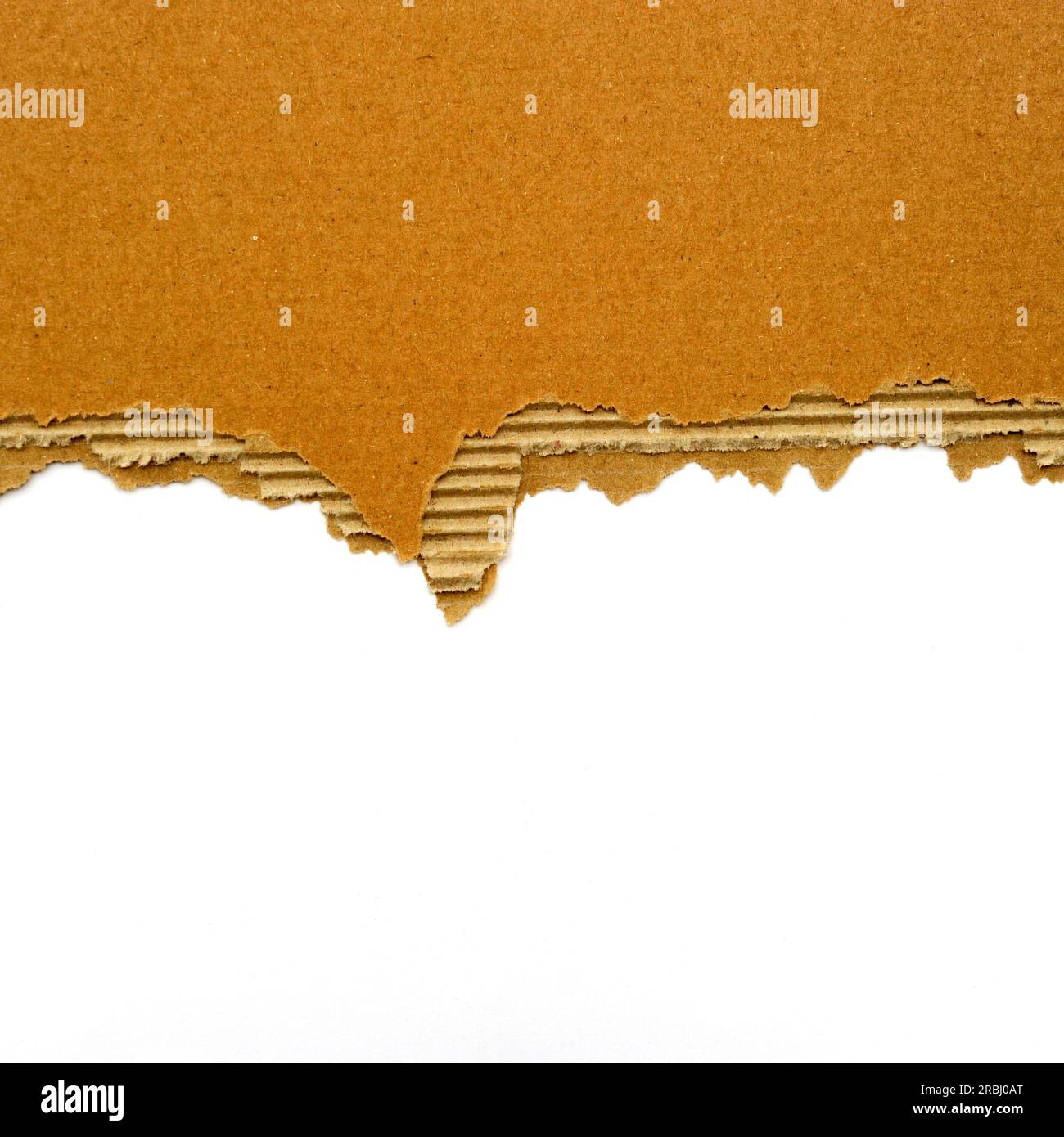 ripped cardboard isolated Stock Photo - Alamy