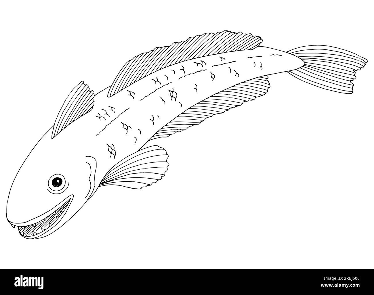 Hake fish graphic black white isolated illustration vector Stock Vector