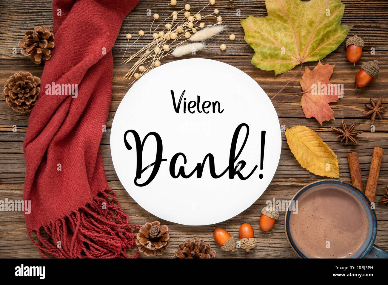 Autumn Decoration, Flat Lay With Colorful Maple Leaves, Cozy Atmosphere and Label With German Text Vielen Dank, Which Means Many Thanks In English Stock Photo