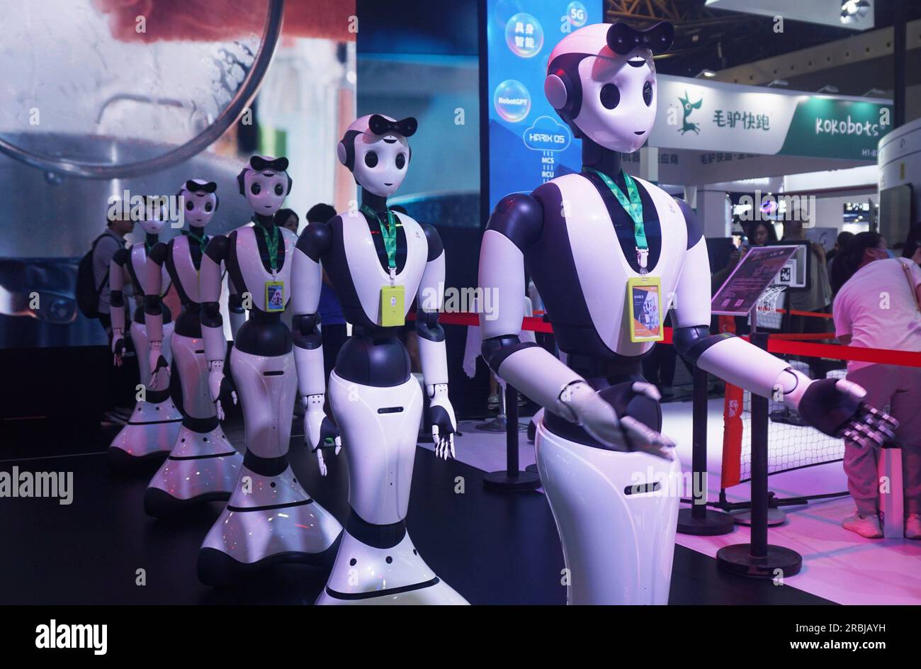 Humanoid robots perform for the visitors at the World Artificial ...