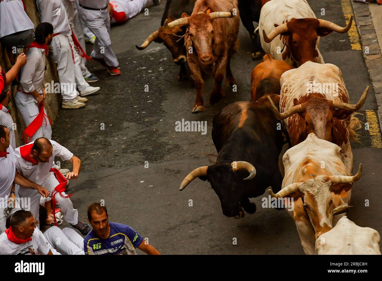 La Palmosilla's fighting bulls run among revellers during the first day of  the running of the bulls during the San Fermin fiestas in Pamplona, Spain,  Friday, July 7, 2023. (AP Photo/Alvaro Barrientos