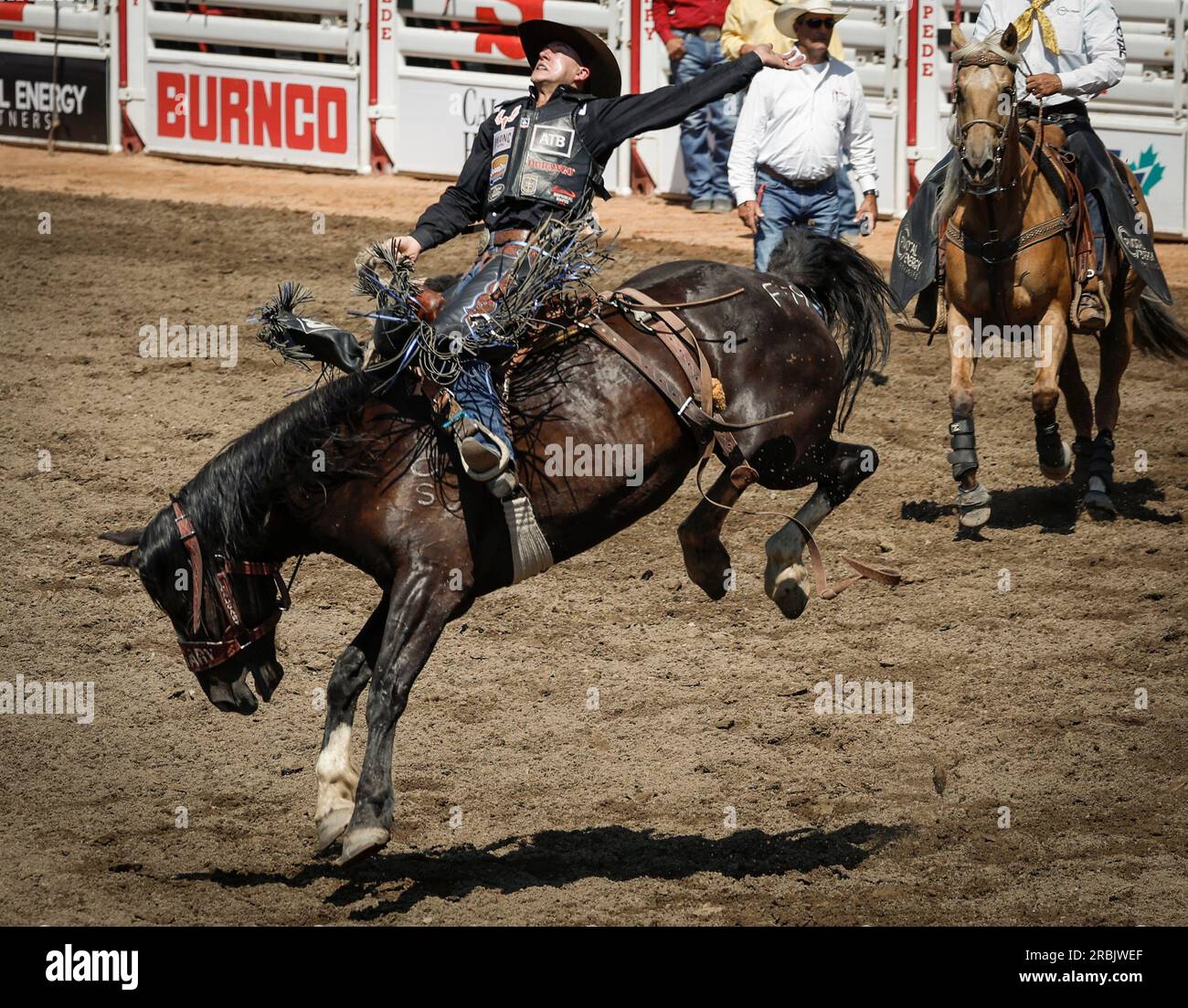 Zeke Thurston, of Big Valley, Alberta, rides Frosted Brownie during ...