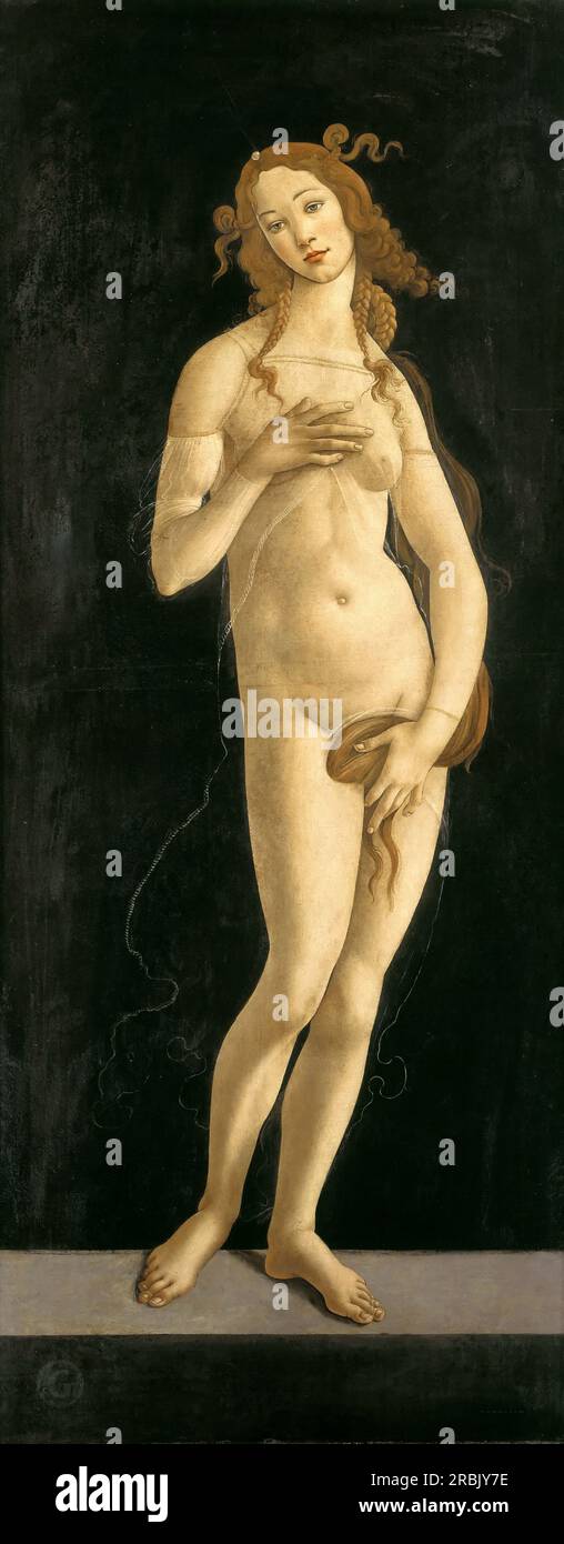 Alessandro Botticelli – Venus Pudica c. 1482. 174 x 77 Stock Photo