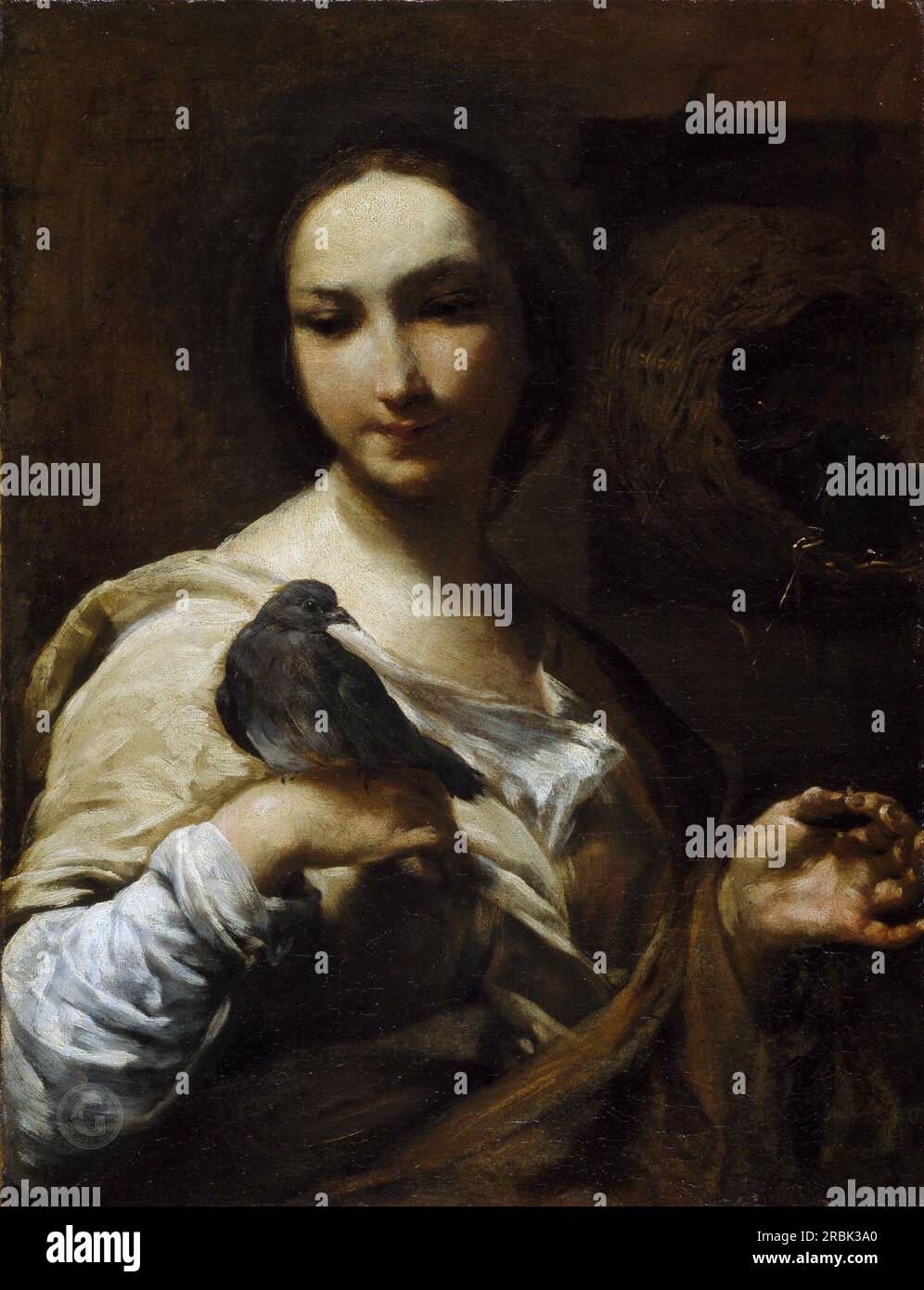 Giuseppe Maria Crespi – Girl Holding a Dove 1721-27 Stock Photo