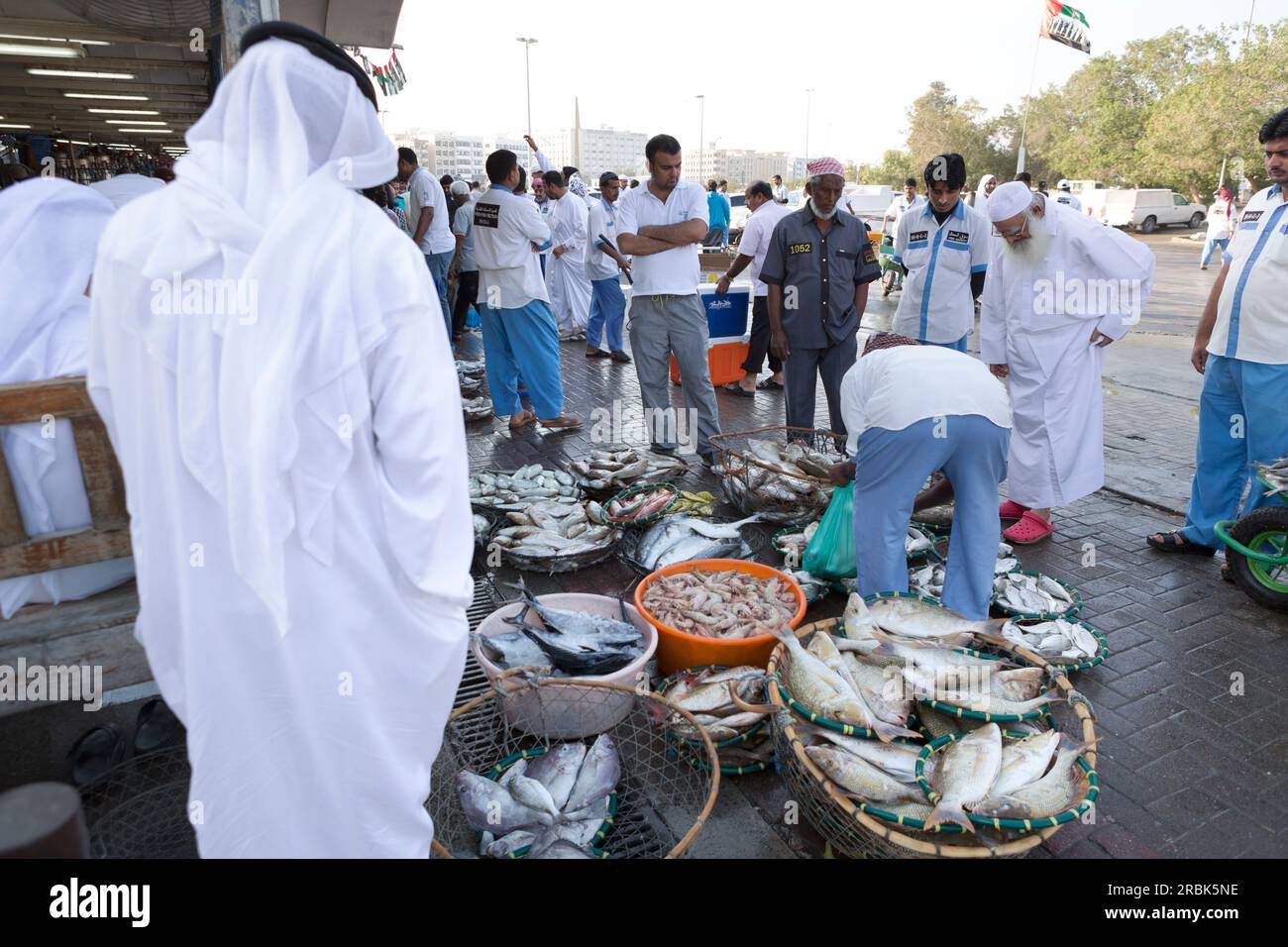 UAE, Dubai, fish for sale at the Shindagha Fish Market Stock Photo Alamy