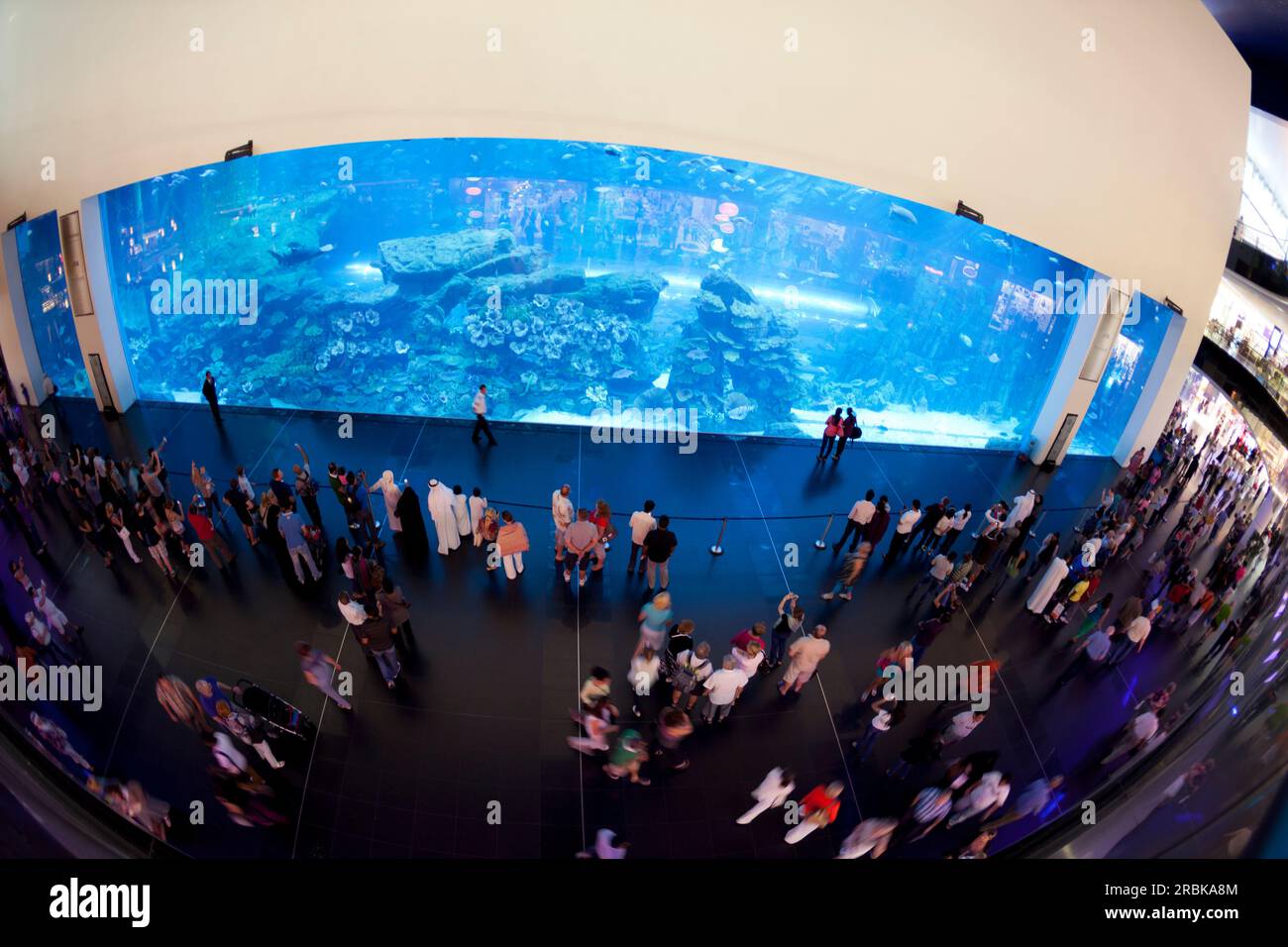 Dubai aquarium mall hi-res stock photography and images - Alamy