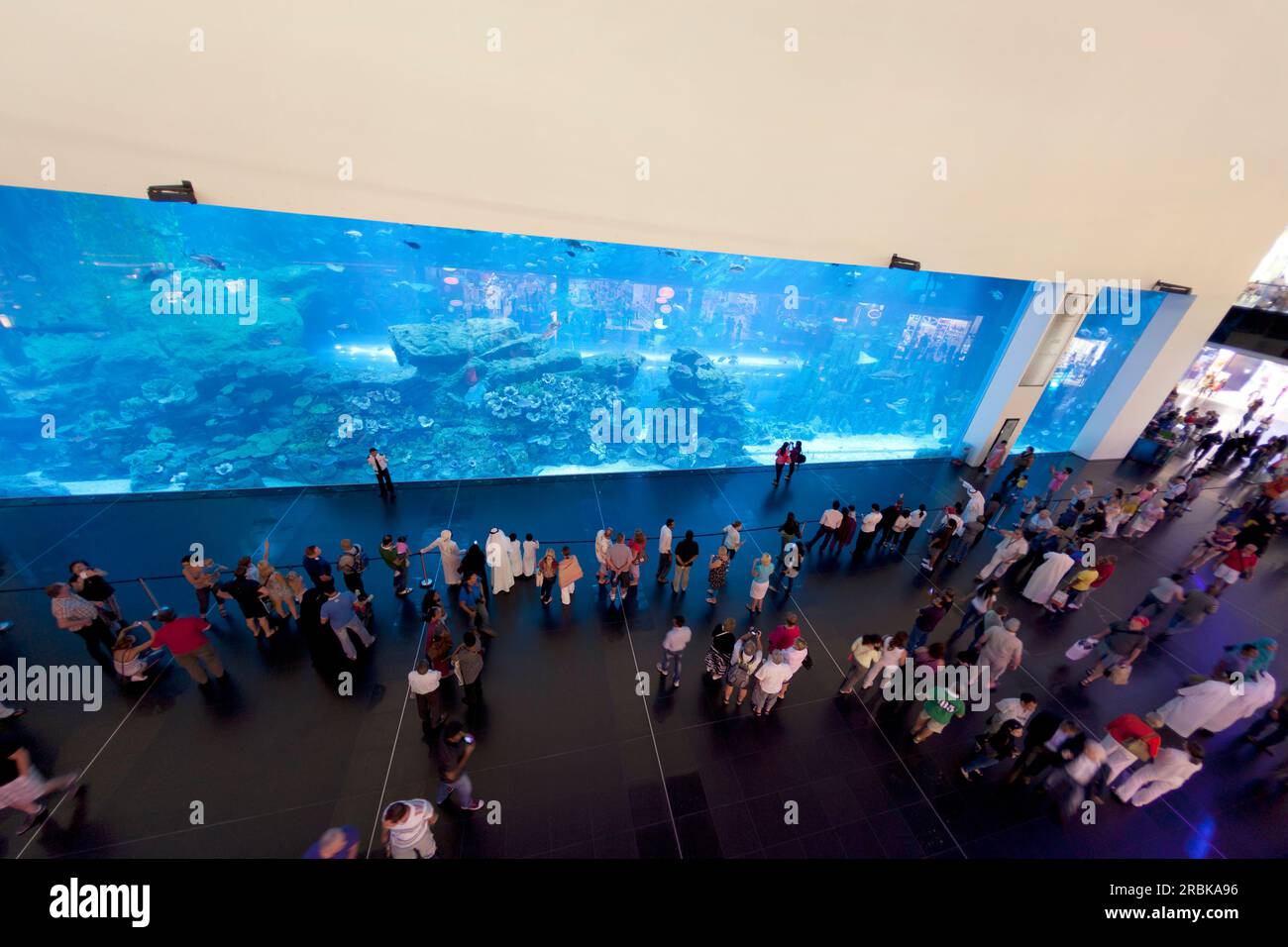 UAE, Dubai, Dubai Aquarium in the Dubai Mall. Stock Photo