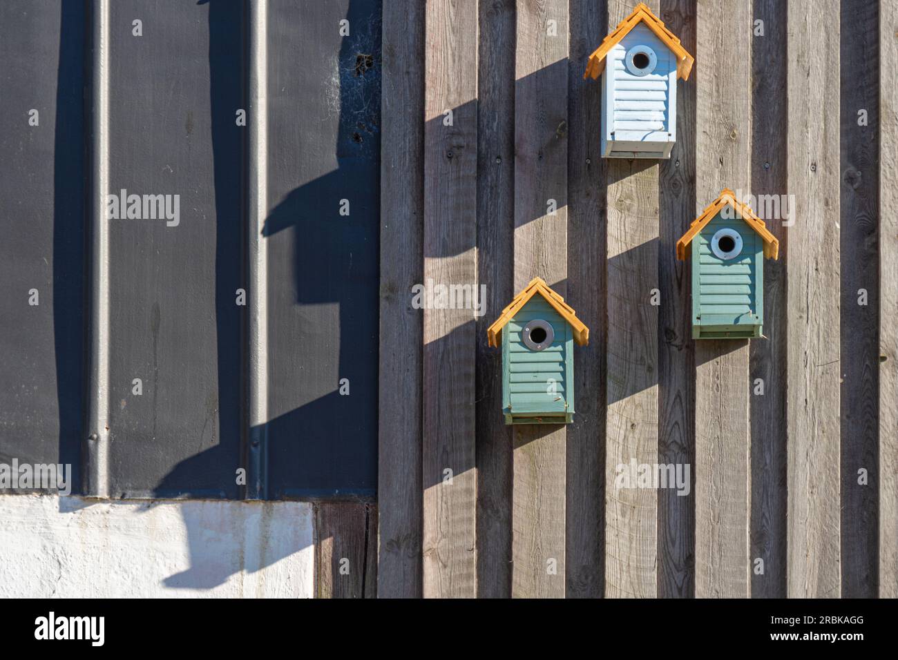 3 cozy little bird boxes fixed on a wooden barn wall in late afternoon light Stock Photo