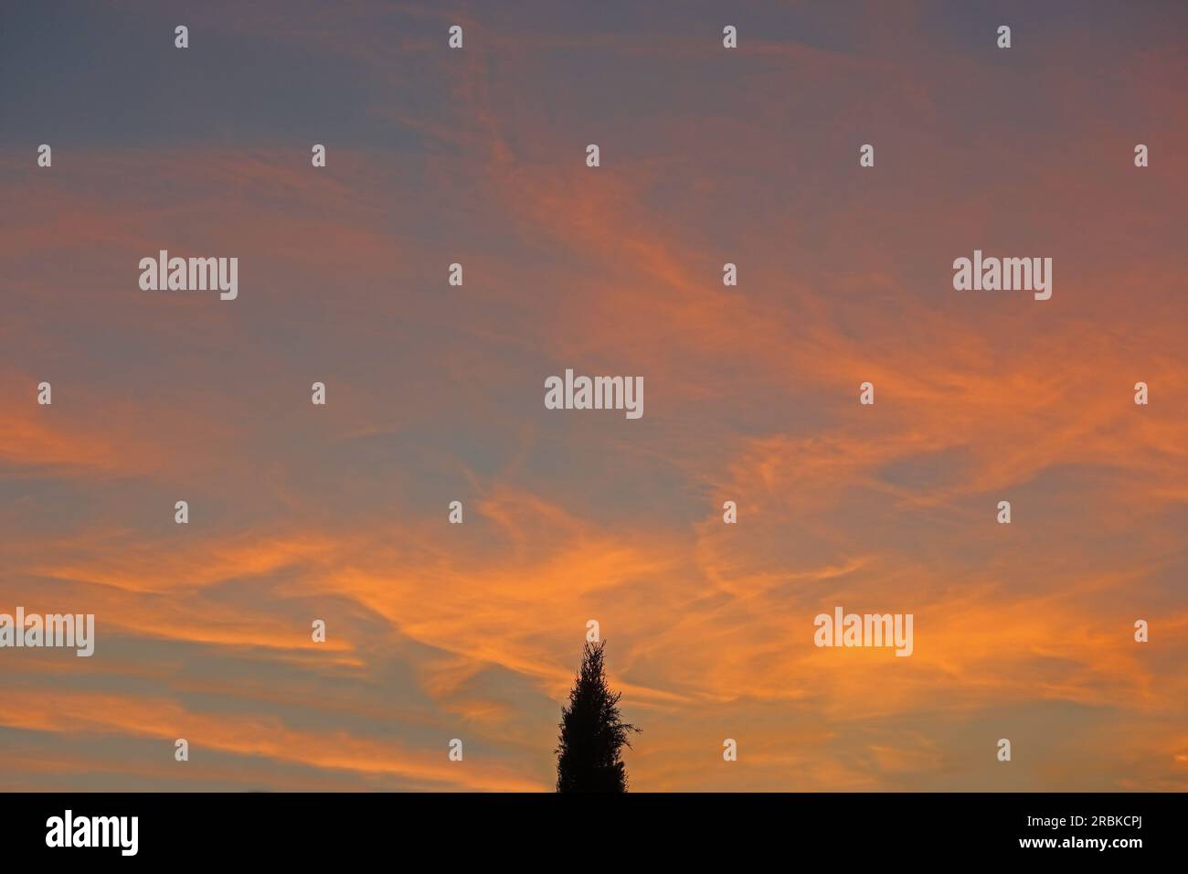 Bras var hi-res stock photography and images - Alamy
