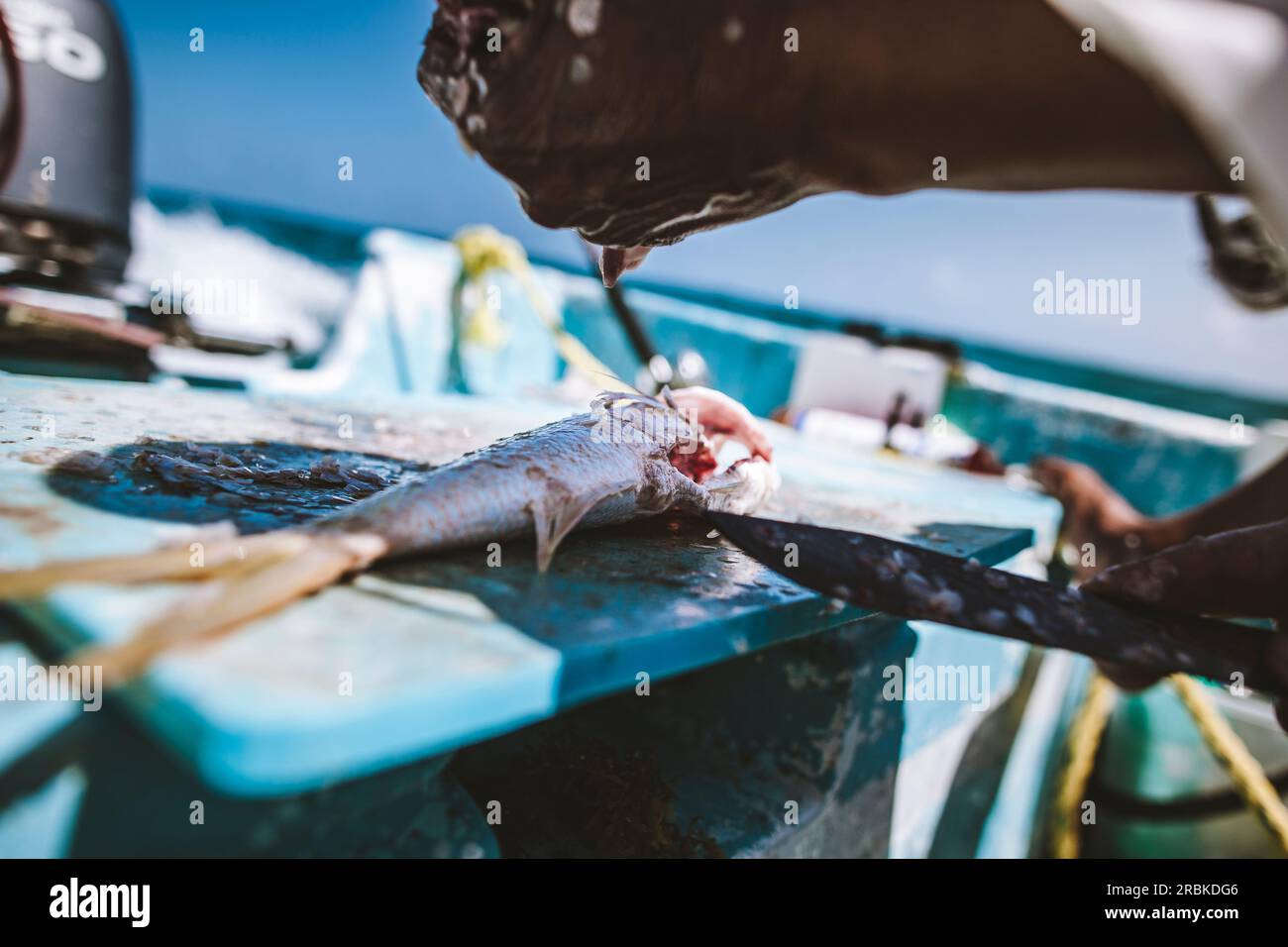 Fisherman scales fish on boat hi-res stock photography and images - Alamy