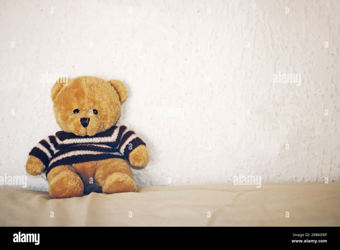 Teddy bear on a white background. Stock Photo